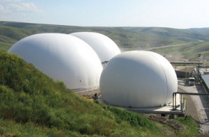 Biogas Power Plants