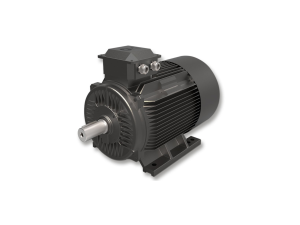 VIRIDIS Permanent Magnet Motor